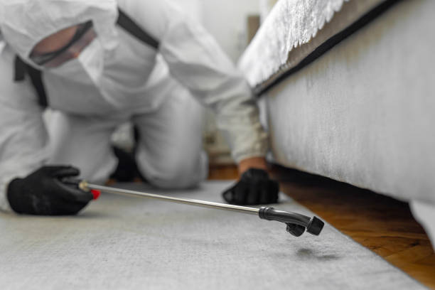 Professional Termite Control technician working in Glen Carbon, IL