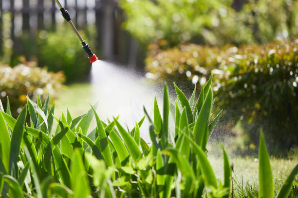 24/7 Emergency Termite Control experts in Glen Carbon, IL