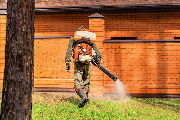Trusted Termite Control service in Glen Carbon, IL - Nex Pest Control